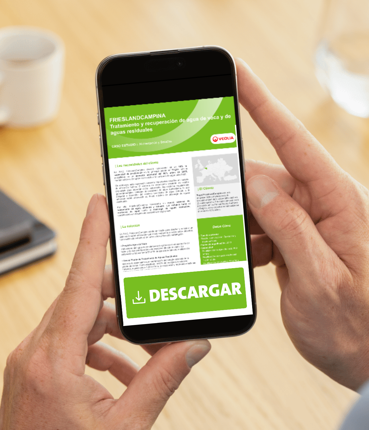 LP 1 - Evaled Veterinary (1)