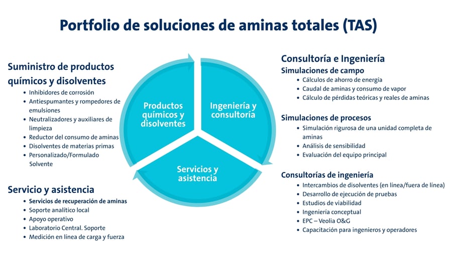 Copia de EU TDS_LP_Total Amine Solution (TAS) Portfolio