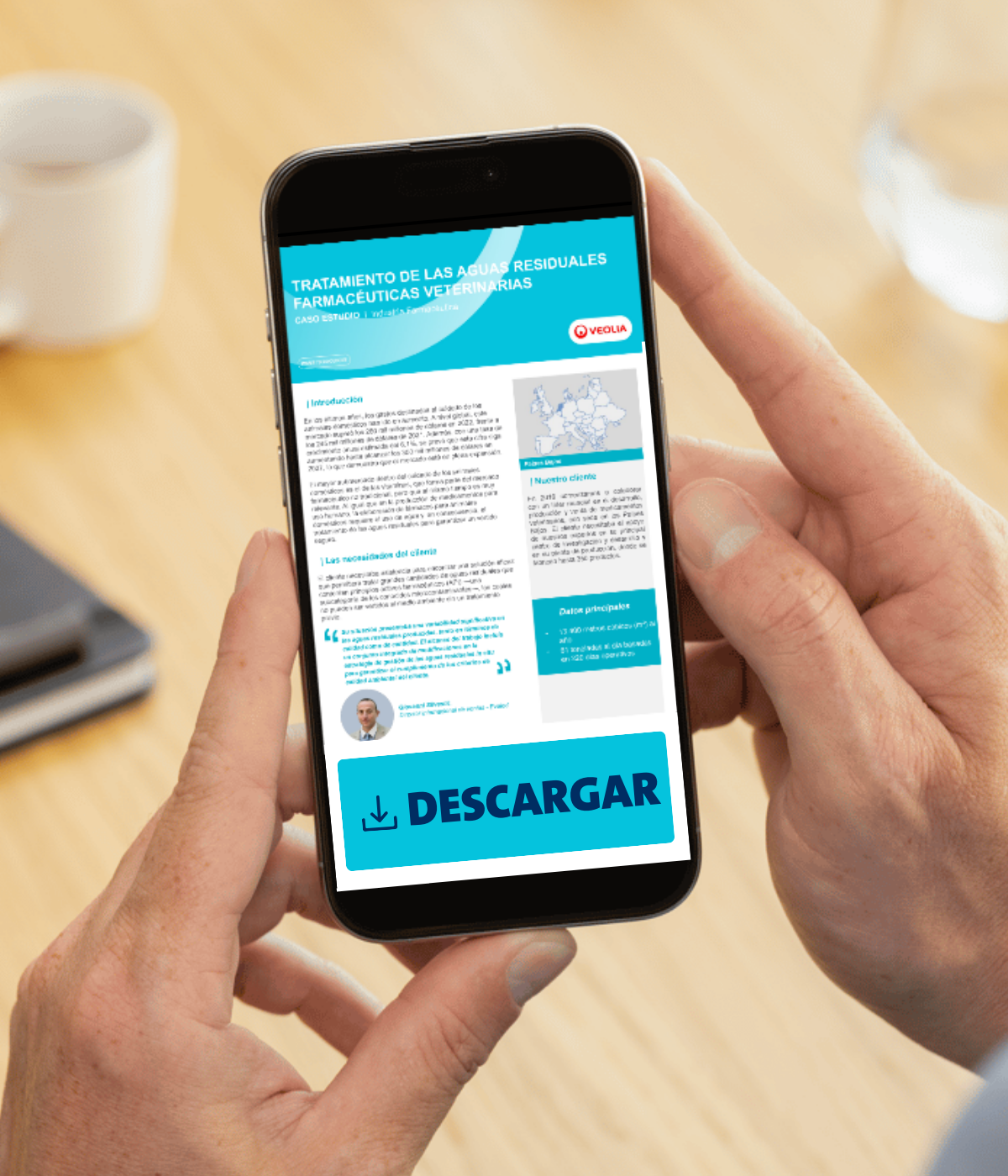 LP 1 - Evaled Veterinary